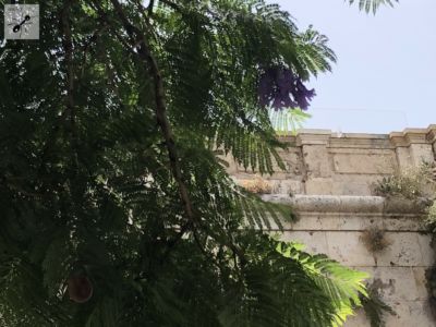 Bild-Sardinien-Streetart-Cagliari-07