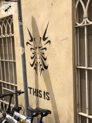 Bild-Sardinien-Streetart-Cagliari-08